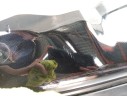 PORTON TRASERO 73100DO000 