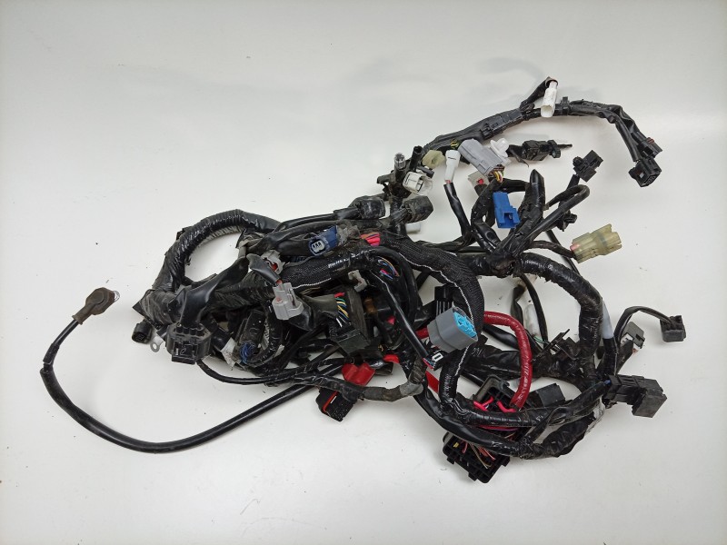 Recambio de cableado electrico para yamaha tracer tracer 9 (rn70) referencia OEM IAM  BME825900000 