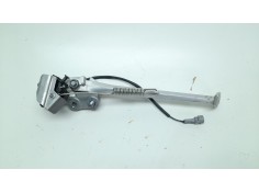 CABALLETE LATERAL T2082009 