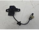 CAMARA VISION FRONTAL 99250DO000 