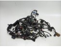 ARNES DE CABLES 32100MLNE60 