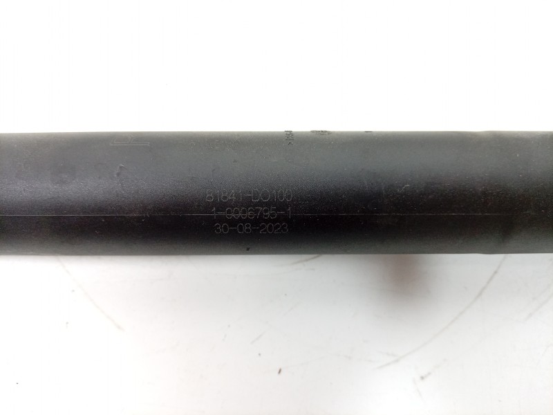 Recambio de amortiguadores maletero / porton para kia ev9 100 gt-line awd referencia OEM IAM  81841DO100 