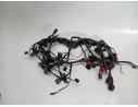 CABLEADO ELECTRICO T2506090 