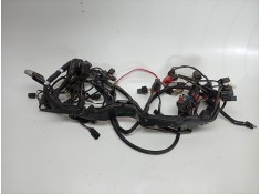 Recambio de cableado electrico para triumph street triple 765 rs street triple 765 rs referencia OEM IAM  T2506090  2