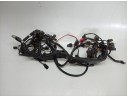 CABLEADO ELECTRICO T2506090 