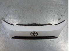 REJILLA DELANTERA 1321733070 