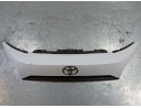 REJILLA DELANTERA 1321733070 