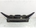 REJILLA DELANTERA 1321733070 