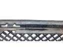 REJILLA PARAGOLPES CENTRAL 51112990368 51112990368 107062403