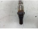 SONDA LAMBDA 55281069 