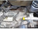 MOTOR COMPLETO FB25 