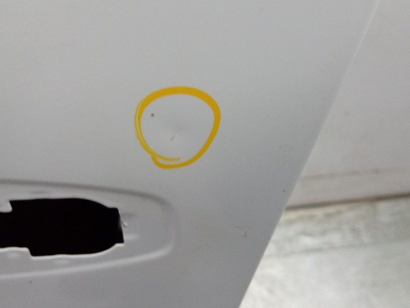Recambio de puerta delantera izquierda para renault 4 e-tech 120 referencia OEM IAM  801014723R 