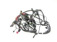 Recambio de cableado electrico para triumph street triple 765 rs street triple 765 rs referencia OEM IAM  T2506090  2
