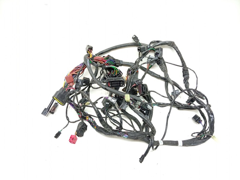 Recambio de cableado electrico para triumph street triple 765 rs street triple 765 rs referencia OEM IAM  T2506090 
