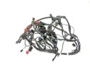 CABLEADO ELECTRICO T2506090 