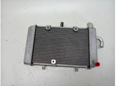 RADIADOR AGUA BL1E240A0100 
