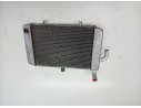 RADIADOR AGUA BL1E240A0100 