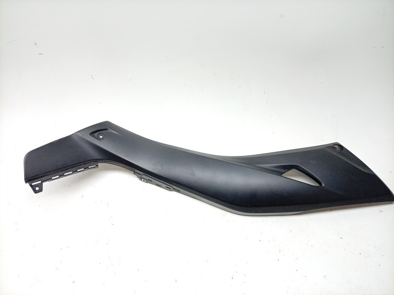 Recambio de moldura para yamaha x-max x-max 400 (sh11) referencia OEM IAM  BL1F172100P1 
