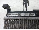 RADIADOR AGUA T79957C 214107347R 550038