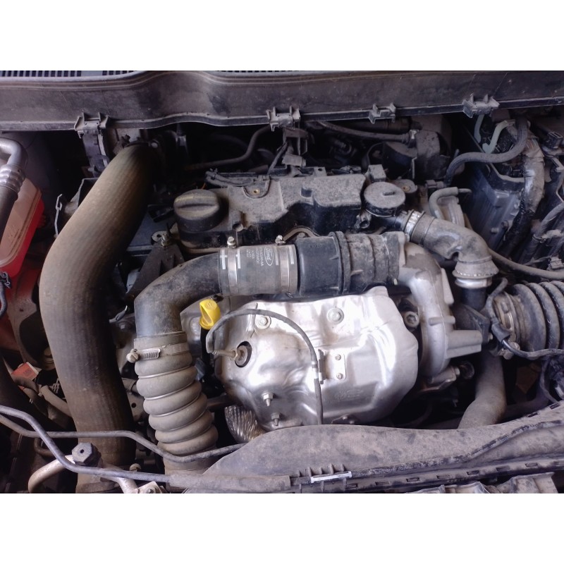 Recambio de filtro de particulas para ford transit courier b460 furgoneta/monovolumen 1.5 ecoblue referencia OEM IAM   