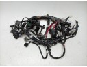 CABLEADO ELECTRICO BL1H25901000 