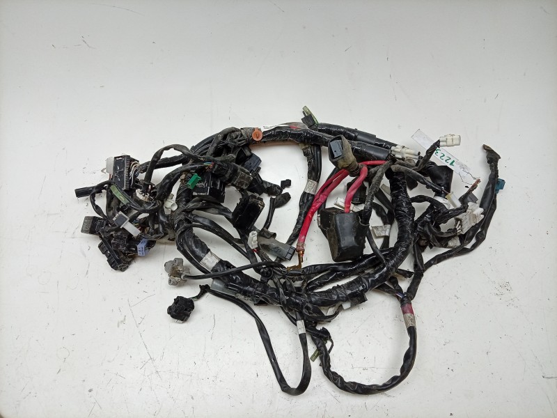 Recambio de cableado electrico para yamaha x-max x-max 400 (sh11) referencia OEM IAM  BL1H25901000 