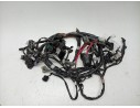 CABLEADO ELECTRICO BL1H25901000 