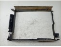 CALANDRA DELANTERA DE RADIADOR 215592894R 