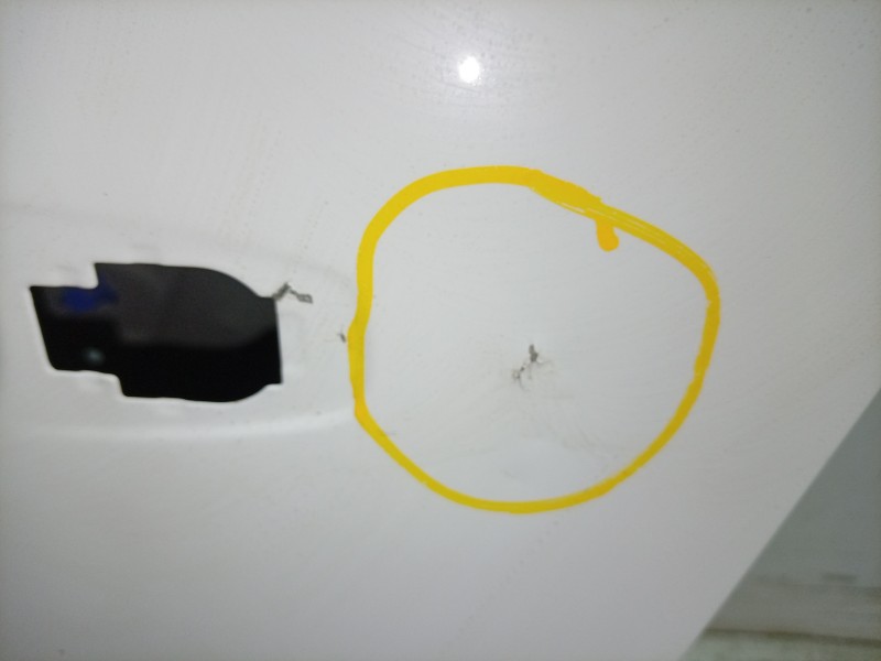 Recambio de puerta trasera izquierda para renault 4 e-tech 120 referencia OEM IAM  821019531R 