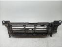 CALANDRA DELANTERA DE RADIADOR 215796570R 