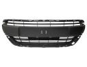 REJILLA PARAGOLPES CENTRAL 9810920180 107175005/PG3282120/P205110D