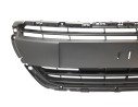REJILLA PARAGOLPES CENTRAL 9810920180 107175005/PG3282120/P205110D