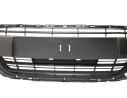 REJILLA PARAGOLPES CENTRAL 9810920180 107175005/PG3282120/P205110D