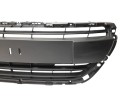 REJILLA PARAGOLPES CENTRAL 9810920180 107175005/PG3282120/P205110D