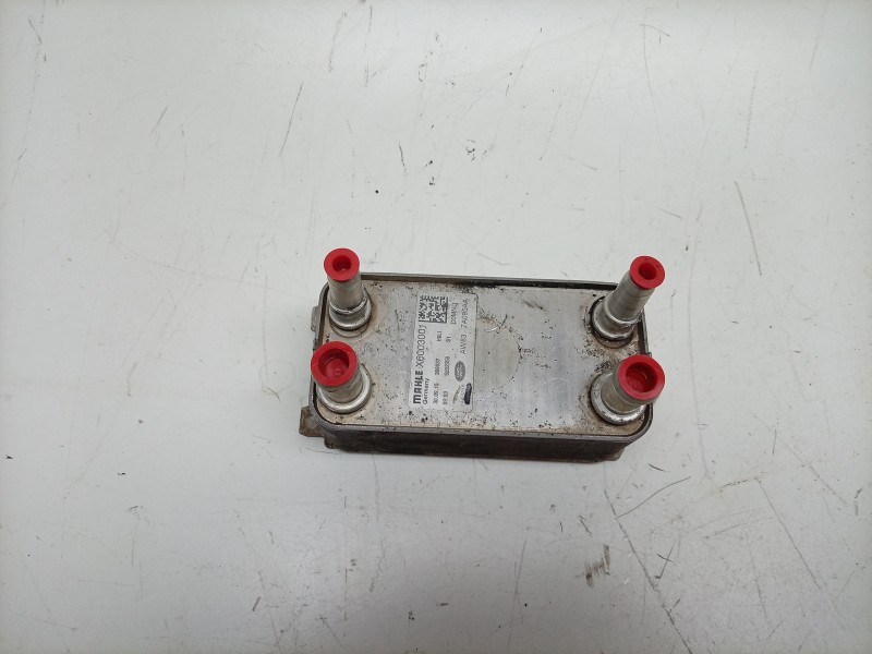 Recambio de enfriador aceite motor para jaguar xj (x351) 3.0 sdv6 referencia OEM IAM  X6003001 