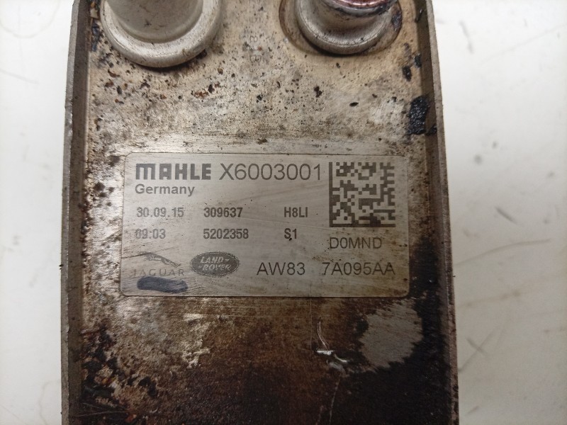 Recambio de enfriador aceite motor para jaguar xj (x351) 3.0 sdv6 referencia OEM IAM  X6003001 