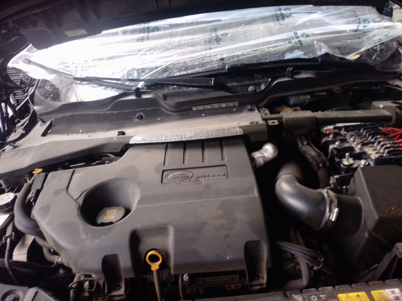 Recambio de filtro de particulas para land rover range rover evoque (l551) 2.0 d165 referencia OEM IAM   