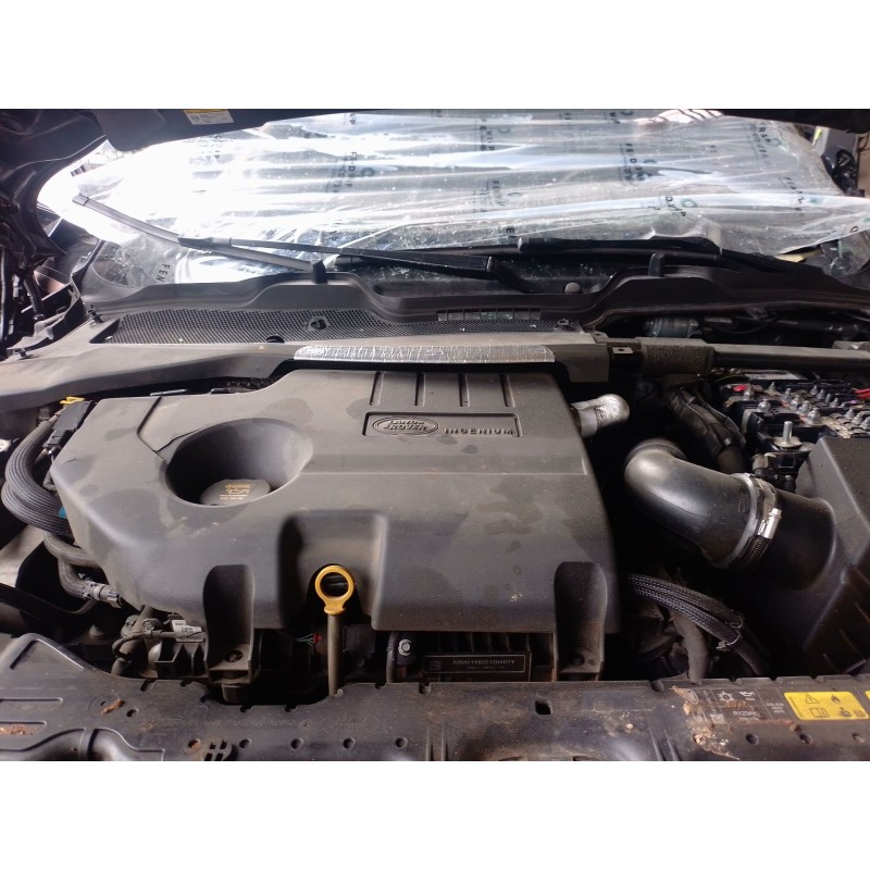 Recambio de radiador agua para land rover range rover evoque (l551) 2.0 d165 referencia OEM IAM   