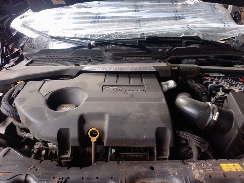 Recambio de radiador agua para land rover range rover evoque (l551) 2.0 d165 referencia OEM IAM   