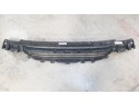 REJILLA PARAGOLPES CENTRAL 51117245733 51117245733 107063403/218152A/BM1232120