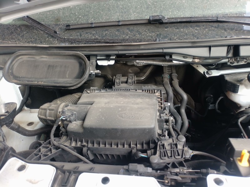 Recambio de filtro de particulas para ford transit custom v362 furgoneta (fy, fz) 2.0 ecoblue mhev referencia OEM IAM   