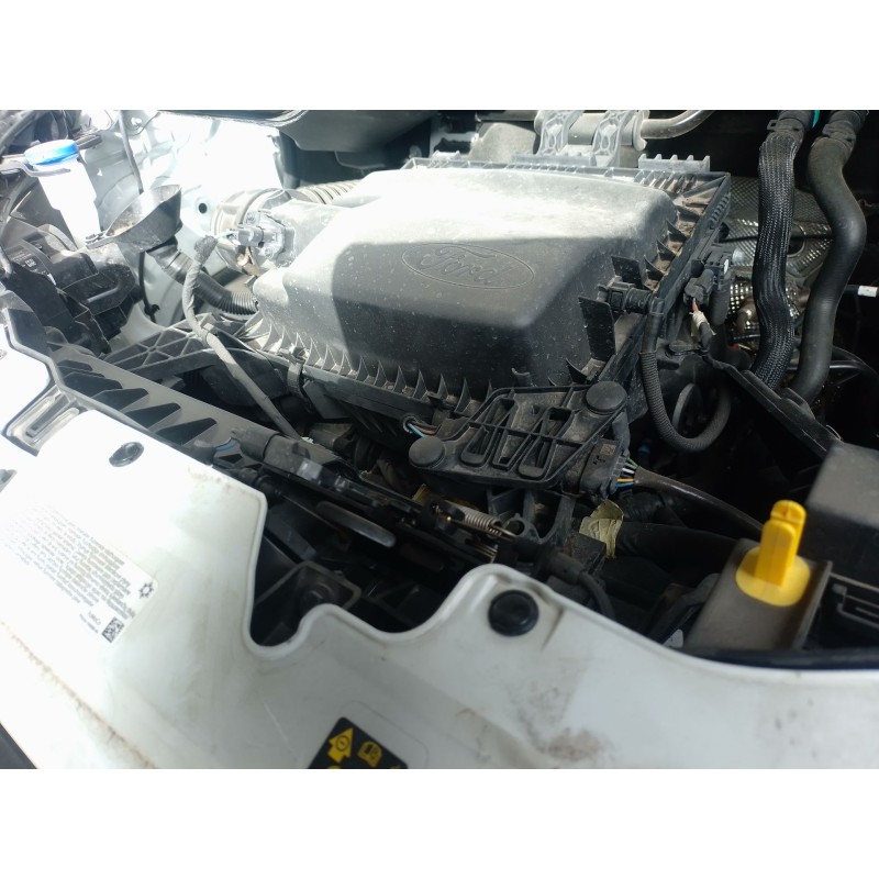 Recambio de cerradura capo para ford transit custom v362 furgoneta (fy, fz) 2.0 ecoblue mhev referencia OEM IAM   