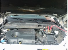 TORPEDO 