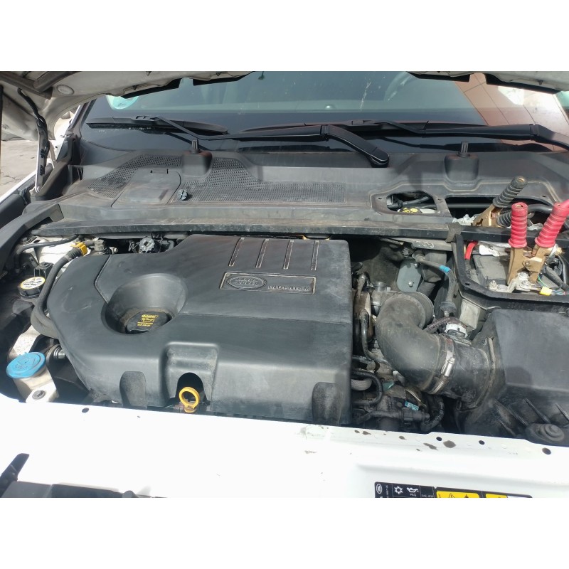 Recambio de filtro de particulas para land rover discovery sport (l550) 2.0 d 4x4 referencia OEM IAM   