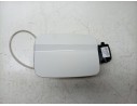 TAPA EXTERIOR COMBUSTIBLE 6F9809905C 