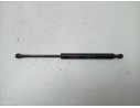 AMORTIGUADORES DE PORTON AD43F23505AB 