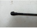 AMORTIGUADORES DE PORTON AD43F23505AB 