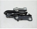 BISAGRA CAPO DERECHA DG4316800AA 