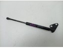 AMORTIGUADOR DELANTERO IZQUIERDO AD43F23504AB 