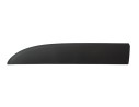 MOLDURA PUERTA DELANTERA IZQUIERDA 808213720R 107180290E/3176701/5426721/5626721/7186701/FT9001404